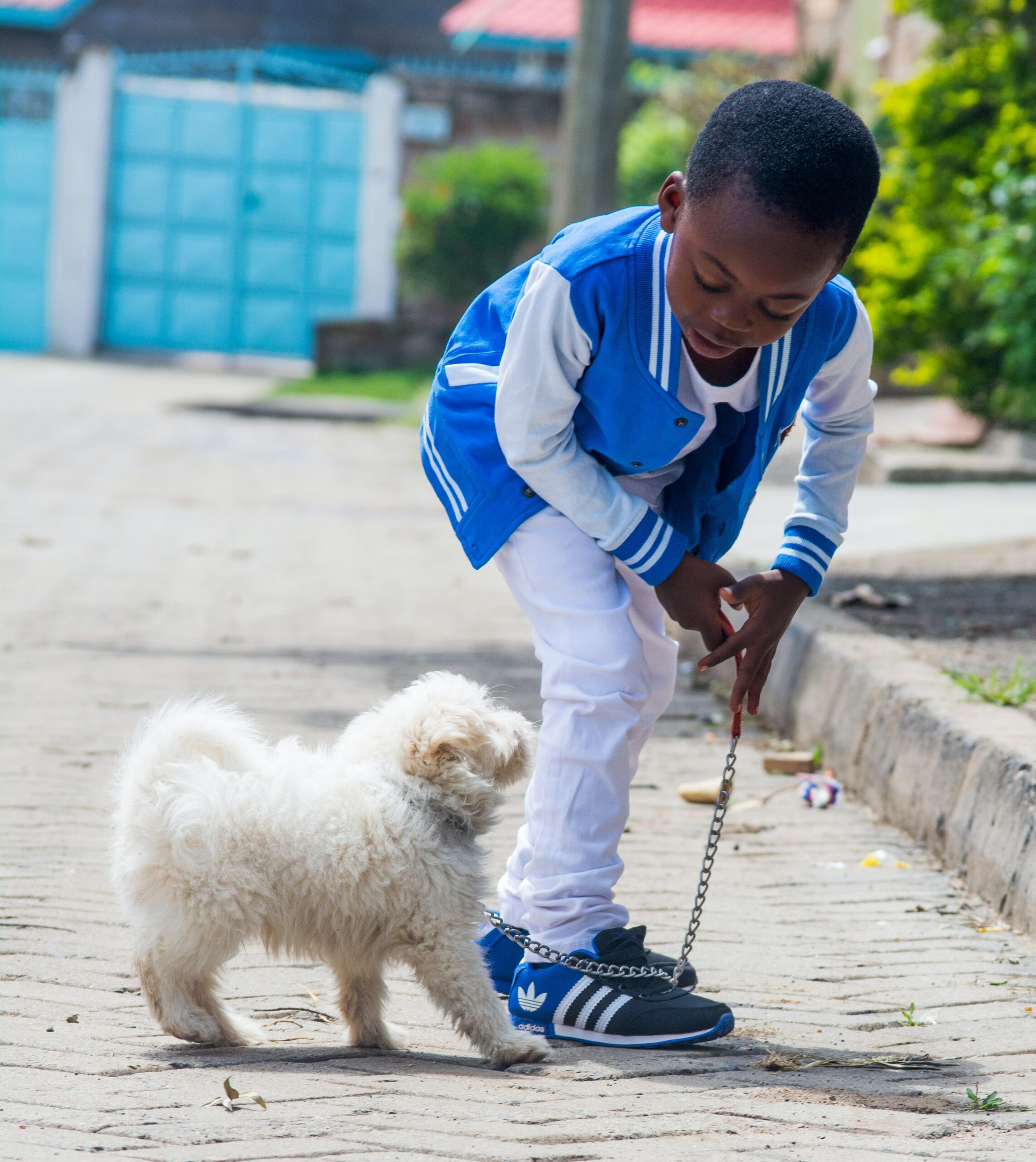 Pets e Crianças: Veja os cuidados básicos para bichinhos de estimação não transmitirem doenças aos pequenos