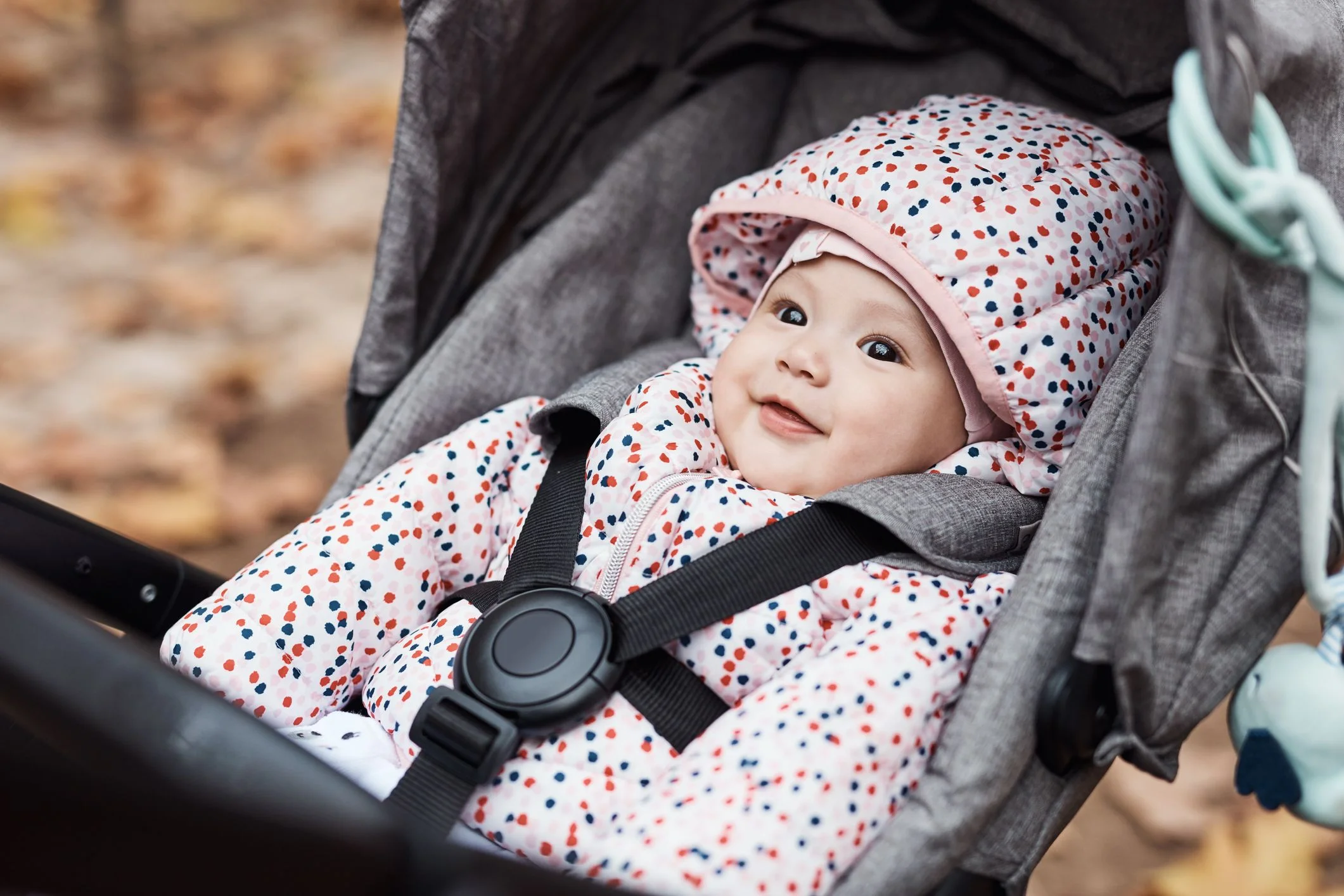 Como Escolher o Carrinho Ideal para o Seu Bebê: Dicas de Segurança e Conforto 