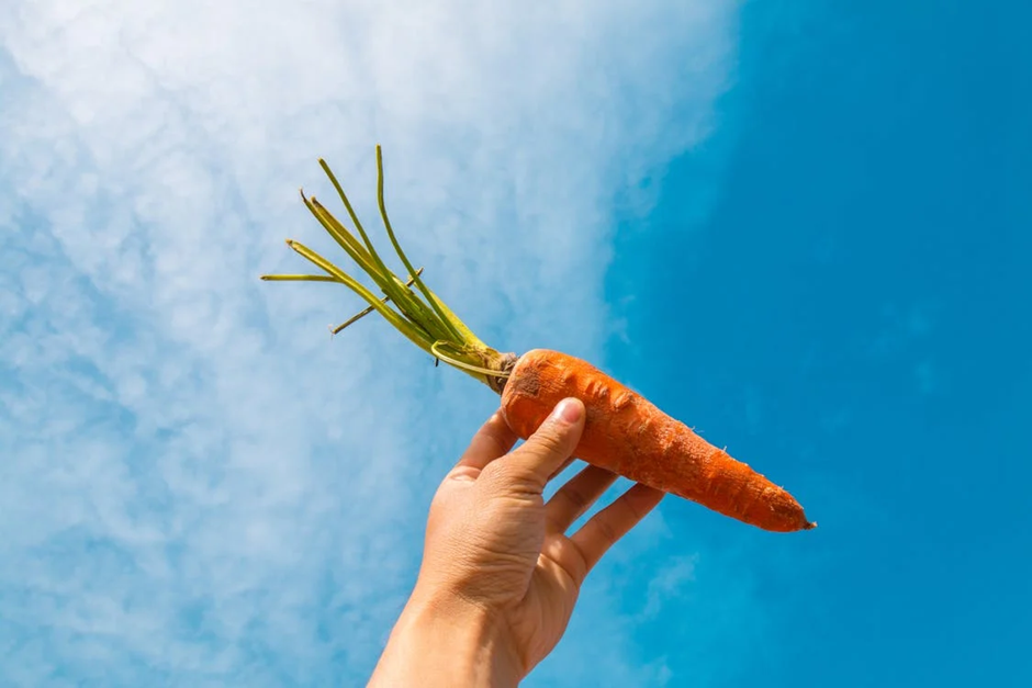 Principais Benefícios da Cenoura e Dicas de Receitas